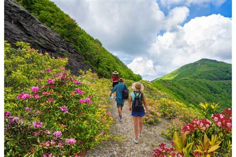 Exploring the Trails: Hiking in Blue Ridge GA