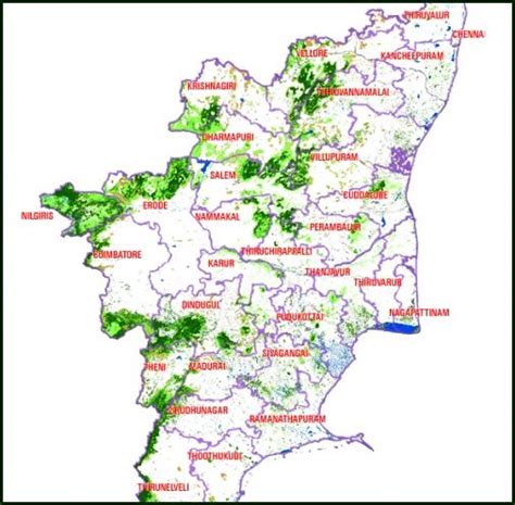 Arunachala Grace Tiruvannamalai District Forests