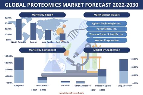 Global Proteomics Market Growth Analysis Trends Share