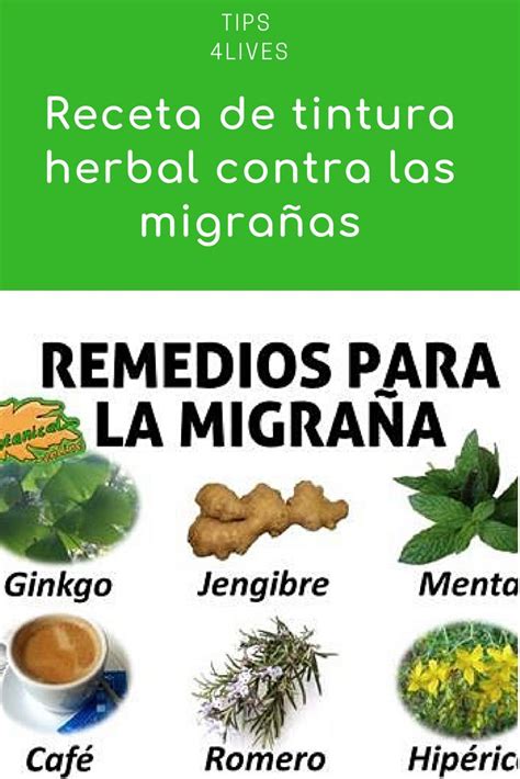 Receta De Tintura Herbal Contra Las Migrañas Con Imágenes Migraña