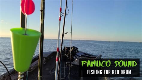 Pamlico Sound In Search Of Bull Red Drum Bucket List Trip