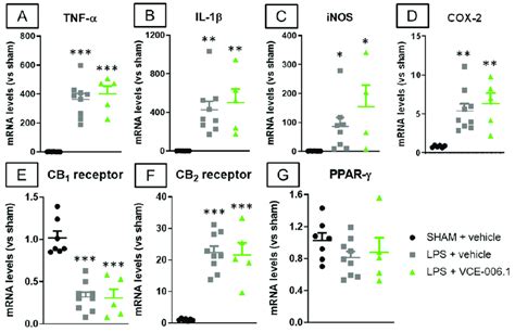 Mrna Levels For Tnf α A Il 1β B Inos C Cox 2 D Cb 1