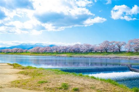 【2023年版】死ぬまでに行きたい宮城県の絶景15選｜異世界ひとり旅