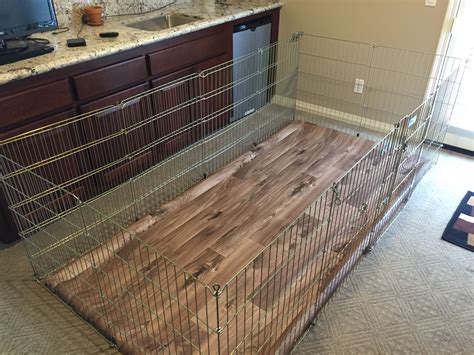 diy dog fence