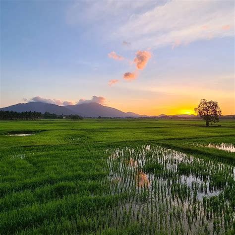 Rumah Bendang Langkawi Penginapan Luarbiasa Di Sawah Padi