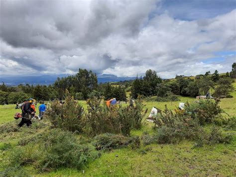 Avanzan las jornadas de manejo de especies invasoras en la jurisdicción