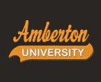 Amberton University Embroidered Low Profile Hat