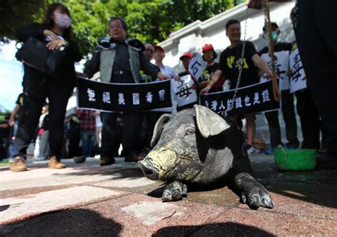 30年最大規模！秋鬥誓師 反毒豬、反黨國、反雙標 政壇風雲錄 台灣 世界新聞網