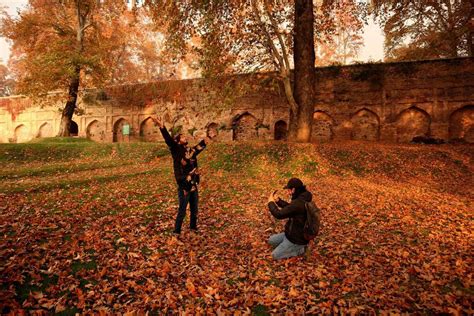 Autumn in Kashmir: Few glimpses of season 'Harud'