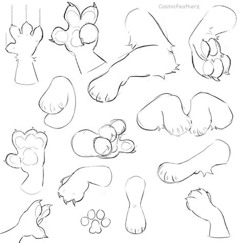 Paw Study Paw Drawing Art Inspiration Drawing Drawing Tutorial