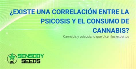 Existe Una Correlaci N Entre Psicosis Y Uso De Cannabis