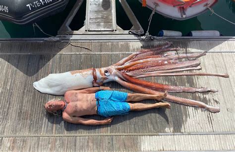 Aparece En Canarias Un Calamar Gigante De M S De Kilos El Comercio