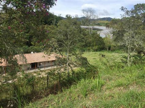 Fotos De Ganga Finca En El Carmen De Viboral Anuncio Fiv