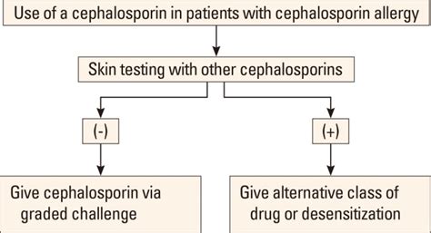 Diagnosis And Management Of Immediate Hypersensitivity Reactions To Cephalosporins Pmc