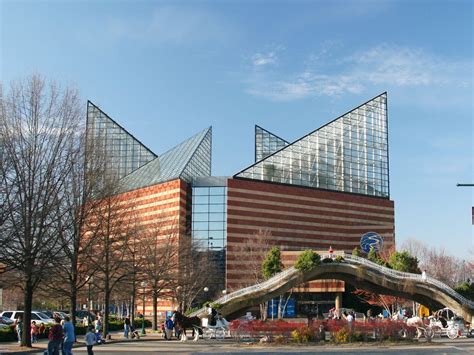 Your Complete Guide to Tennessee Aquarium | TouristSecrets