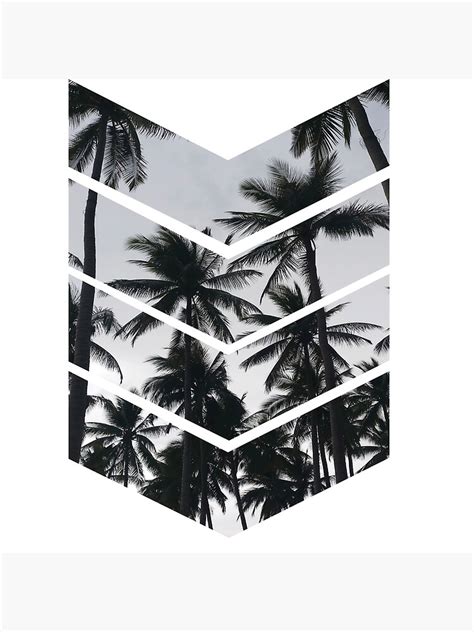 Vintage Black And White Tropical Palm Trees Photographic Print By