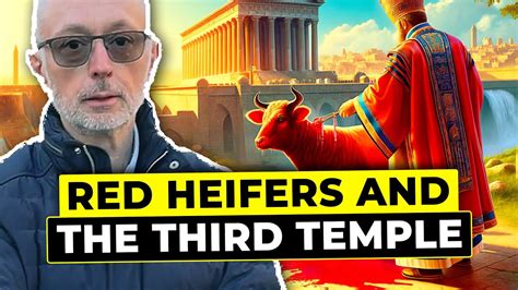 Red Heifers And The Third Temple Unveiling The Truth With Shaykh Hamza