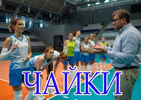 Сериал «Чайки» (2022) - сюжет, актеры и роли, кадры из сериала