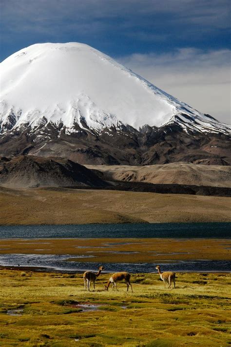 Deserto Do Atacama Dicas E Roteiro De Viagem Dia A Dia Artofit