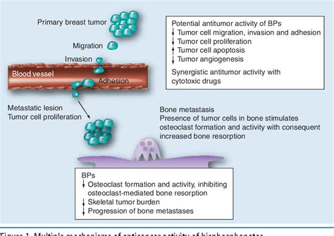 Figure 2 From Bisphosphonates In The Adjuvant Treatment Of Breast