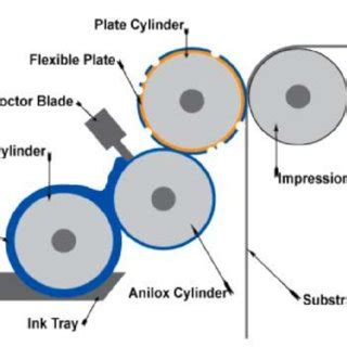 Schematic of the flexographic printing process | Download Scientific ...