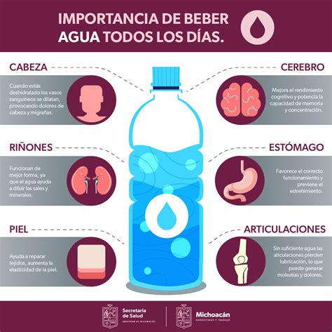 SALUD Conoce los beneficios de beber agua todos los días para tu