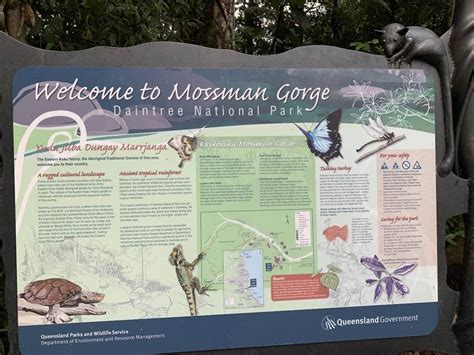 A Helpful Guide to the Mossman Gorge Walk | Mossman Gorge Swimming