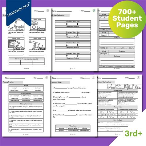 Morphology Daily Student Work Collection