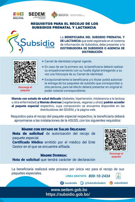 Todo Lo Que Debes Saber Sobre Los Requisitos Para Solicitar El Subsidio