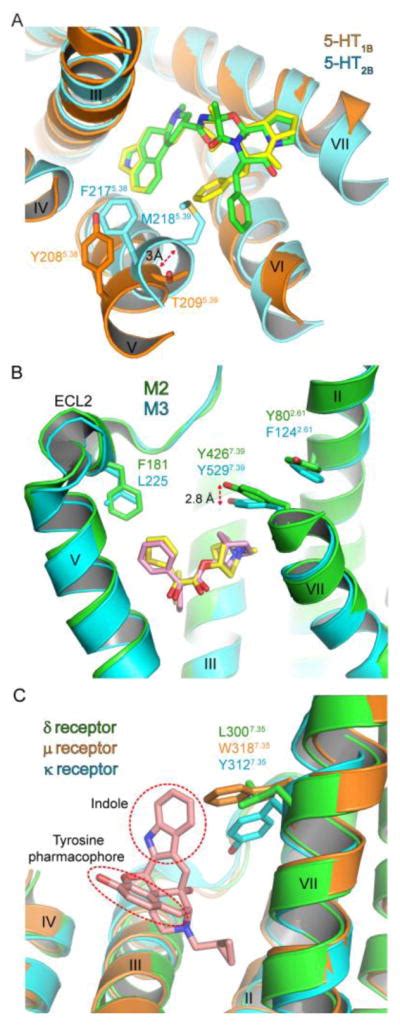 Structural Insights Into Ligand Recognition And Selectivity For Classes