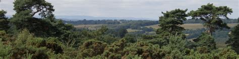 Ashdown Forest Wikitravel