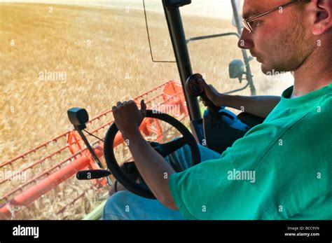 Driver In Cab Of Claas Lexion 540 Combine Harvester Harvesting Summer Barley Indre Et Loire