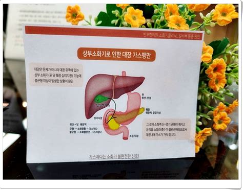 배에 가스 빼는법 원인을 다스려야 네이버 블로그