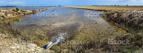 Rice Field Delta Ebre Ebro Fill Water Cultivation Stock Photo