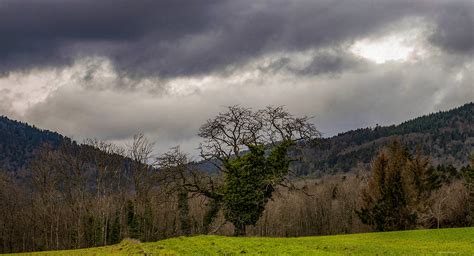 COL DE RODEREN SAUVAGE Arthann Flickr