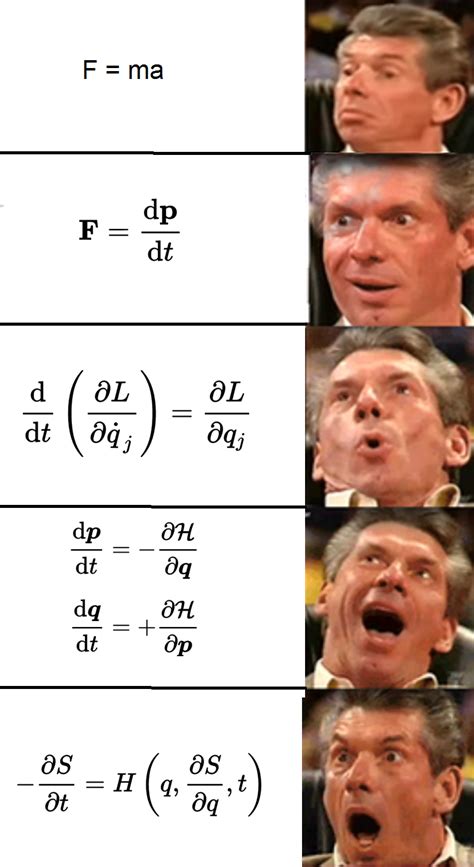 The Euler Lagrange Equation Is The Most Beautiful Thing I Have Ever