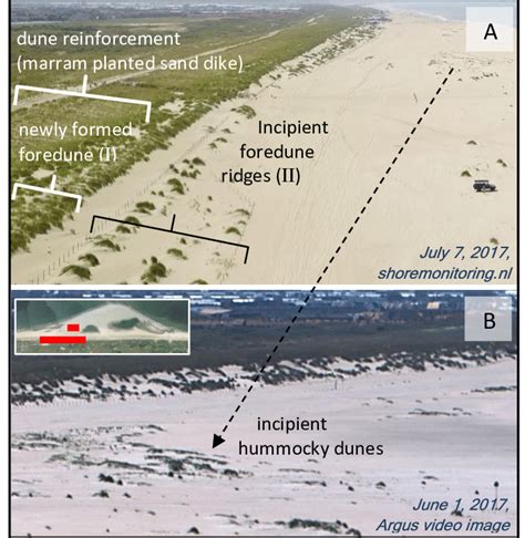 -Example of types of dune formation observed at the Sandmotor (southern ...