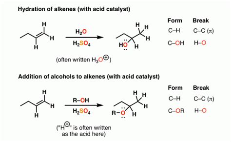 Acid Catalysed Hydration To Convert Alkene To Alcohol – Otosection