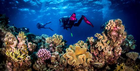 Scuba Diving Great Barrier Reef Great Barrier Reef Liveaboards