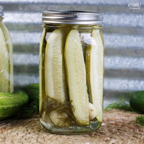 Easy Refrigerator Dill Pickles No Canning Attainable Sustainable