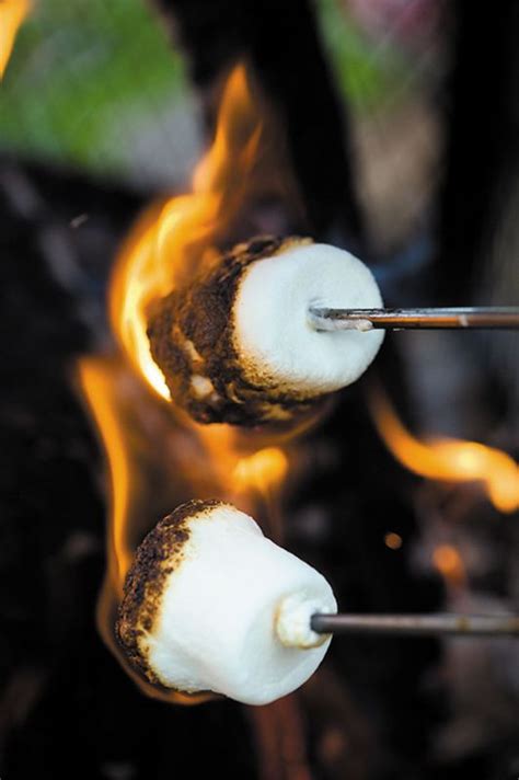 Living Day To Day Special Time Sunday Roast Marshmallows