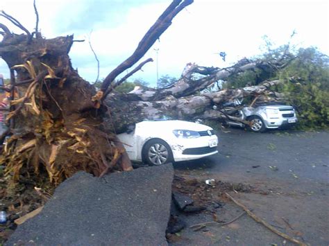 Vc Rep Rter Temporal Deixa Mil Casas Sem Luz E Arranca Rvores Em