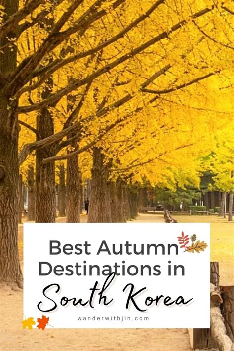 Best Autumn Destinations In South Korea Artofit