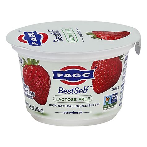 Fage Bestself Lowfat Greek Strained Lactose Free Strawberry Yogurt 53