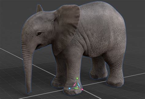 Baby Elephant 3d Model Cgtrader