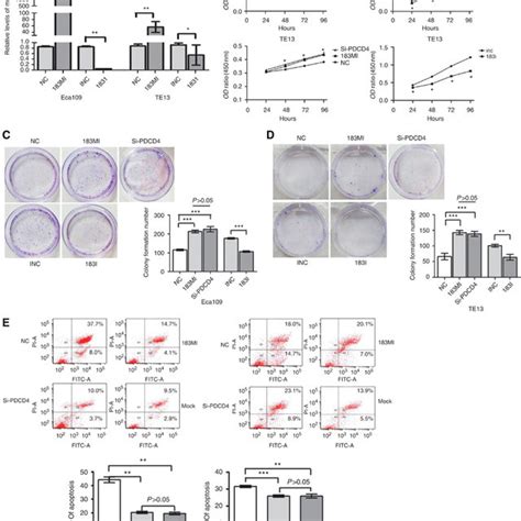 Mir 183 Upregulation Promotes Escc Cell Proliferation And Invasion In