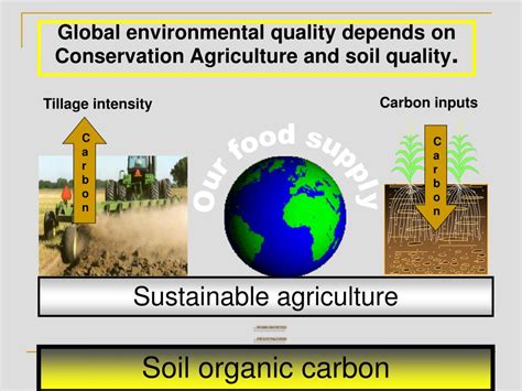 Ppt Lecture 9a Biogeochemical Cycles Powerpoint Presentation Free Download Id 2897476