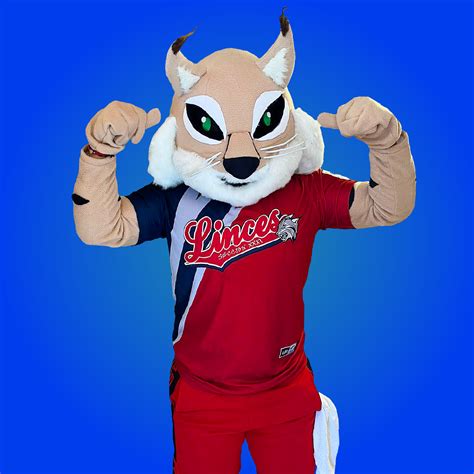 La Mascota De Equipo Linces Feliz Con Uniformes Bayona
