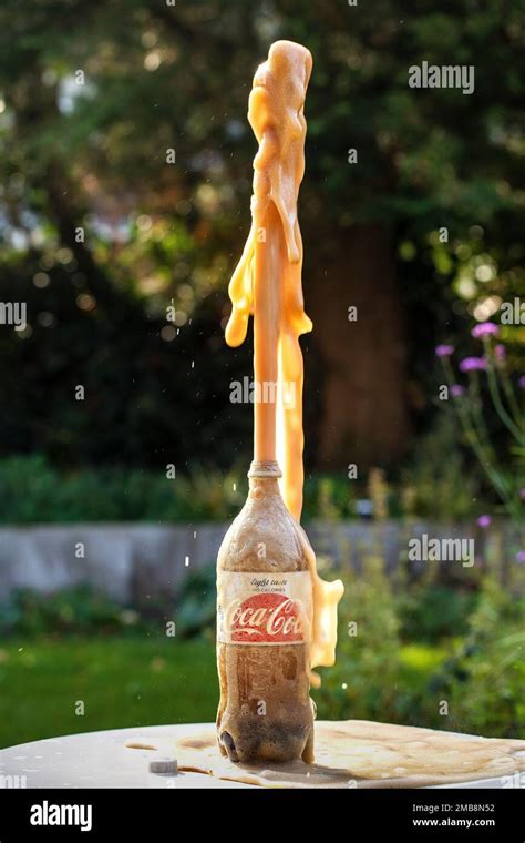 Coca Cola Splashes Out Of The Bottle After Mentos Sweets Were Added