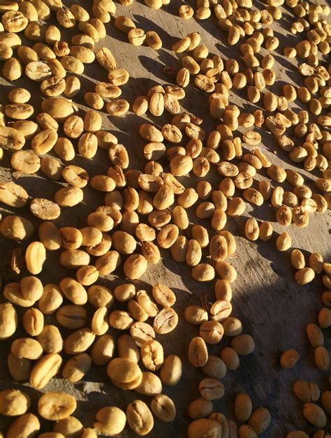 Coffee Beans Free Stock Photo Public Domain Pictures